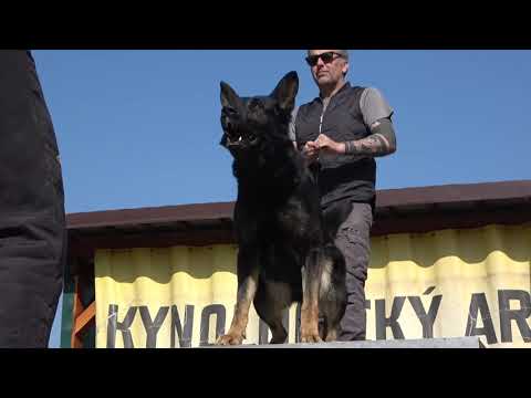 Ingo von Pike's Spirit