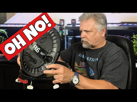 Top 5 Aquarium Filter Disasters [Don't Let these Happen!]