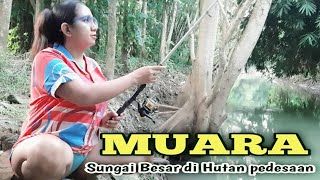 Download lagu Mancing ikan air tawar di sungai hutan alam pedesaan yang indah mp3