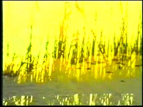 It's Over Now (True Love) video thumbnail