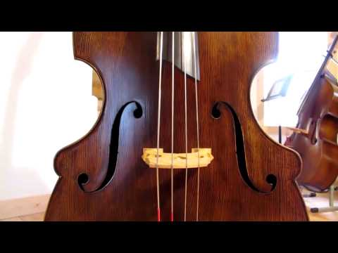 Upton Bass: Concord Model Double Bass Grand Tour