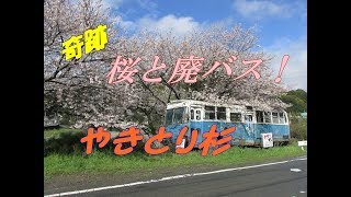 2017年4月四国レトロ自販機&昭和スポット巡りの旅④徳島編その3ローカルパンマルイパンはやし!奇跡の桜と廃バス!やきとり杉!横田自販機コーナーで200円の自販機うどん!