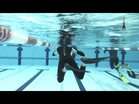 Turku 2016 AIDA WC FINAL 300m DYN record