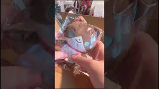 初動画〜✨(騒がしタイプの開封動画)#にじさんじ #三枝明那 #開封動画