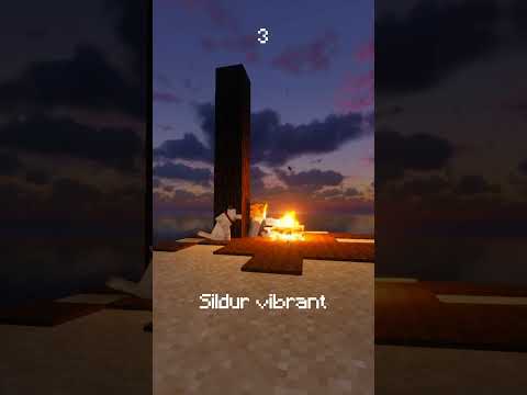 Which shaders is the BEST!!!!