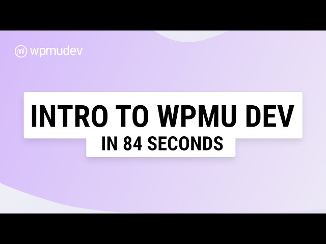 About WPMU DEV