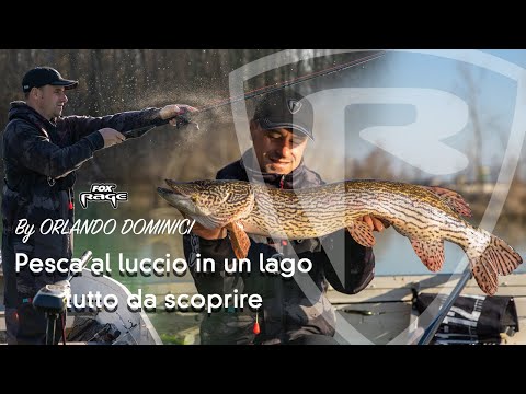 ***FOX RAGE TV***Pesca al luccio in un lago tutto da scoprire