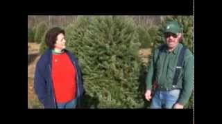 preview picture of video 'Paul & Sharon Shealer's Christmas tree farm'