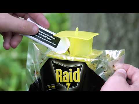 "Sting-Free Zone: Raid Disposable Yellow Jacket, Wasp & Hornet Trap - Your Trusted Pest Solution!"