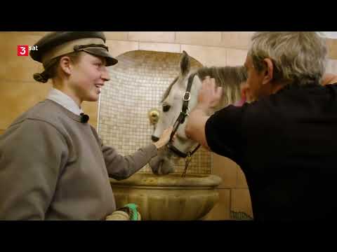 Kaminer Inside: Spanische Hofreitschule Doku (2020)