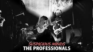 The Professionals -  Live In Berkeley 1982   The Magnificent