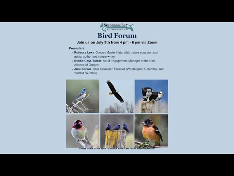 SBWC Bird Forum