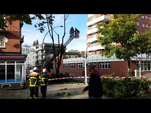 Feuerwehr Hamburg-Harburg im Einsatz nach Sturm 2017 Teil 2