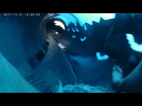 CenterParcs Bostalsee Aquamundo Rutsche