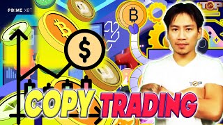 Copy Trading 🔥 How do you make money on PrimeXBT?