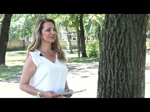 Agro karavan ep. 292 - Novo Miloševo - 20.08.2023.