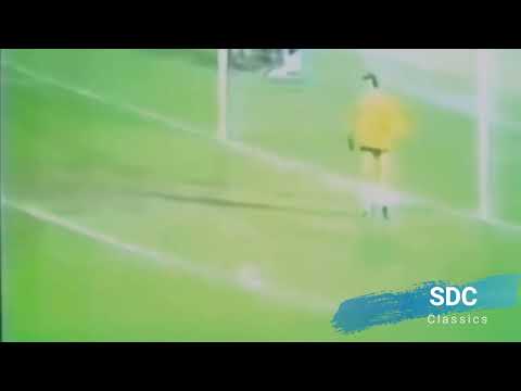 FLAMENGO 2 X 0 COBRELOA (LIBERTADORES 1981)