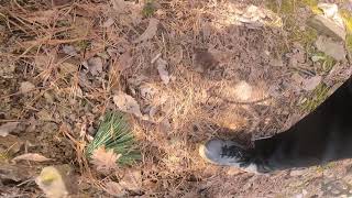 First time participating in the Stokesville Lifestyle Ride. Wiped out about 5 minutes into the video but had a blast!