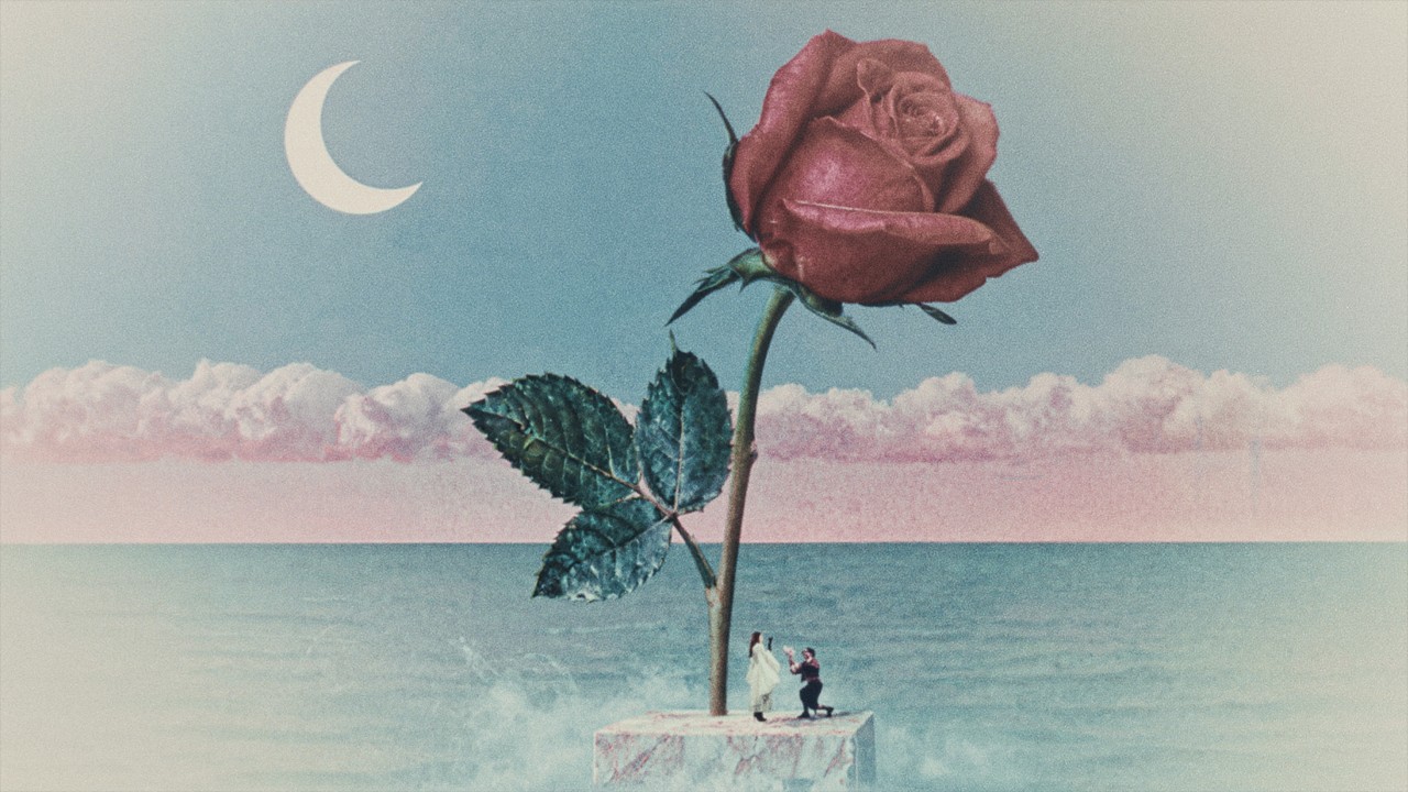 Tove Lo x Stromae — Des Fleurs