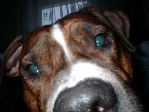 PDG KARTEL  BUBEL feat DONGURALESKO -"Zawiecha"