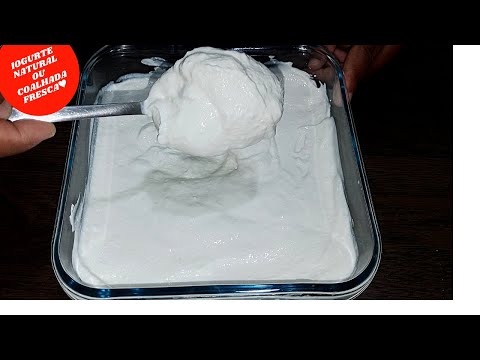 HOW TO MAKE HOMEMADE CURD (natural yogurt) WITH ONLY 2 INGREDIENTS