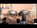 Ankit Jangid 4 4