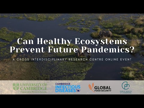 Can Healthy Ecosystems Prevent Future Pandemics?