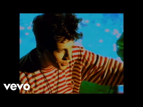 Indochine - Des fleurs pour Salinger (Clip officiel)