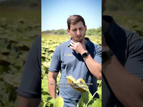 🎙️ Testimonio técnico – Quimilí, Santiago del Estero