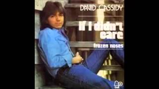 David Cassidy - If I Didn&#39;t Care