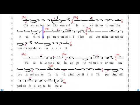 Antifoanele și Prochimenul-(Glasul 3), Anastasimatar V. Ojog-versiune instrumentală (Melodos)-clip9