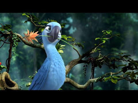 Rio 2 🐦- Você chegou para alegrar o dia Letra
