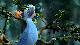 Rio 2 🐦- Você chegou para alegrar o dia Letra
