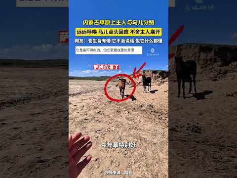 草原上主人与马儿分别 远远呼唤 马儿点头回应 不舍主人离开 #万物皆有灵性   #感人  #暖心