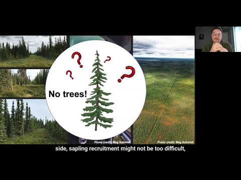 CAWS Seminar Series, Dec 3rd 2020 - Scott Davidson