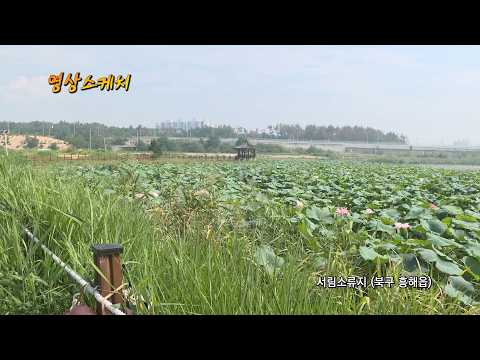 서림소류지 (북구 흥해읍)