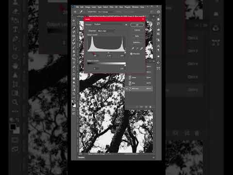 Easy Way To Select Hair Just One Click | Short Photoshop Tutorial #shorts #photoshop_tutorial