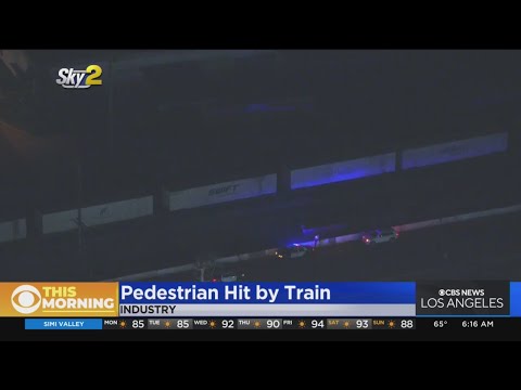 시티오브인더스트리서 기차에 치인 보행자 | Pedestrian struck by train in City of Industry