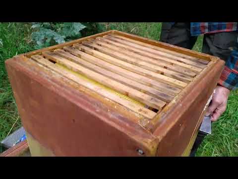 Bitømmer, foder og varroa behandling med tymol.