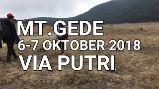 Download lagu Pendakian Gunung gede Pangrango |Banda Neira Sampai jadi Debu mp3 Download lagu Pendakian Gunung gede Pangrango |Banda Neira Sampai jadi Debu mp3