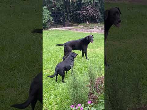 Igor y Kae 🖤 bffs