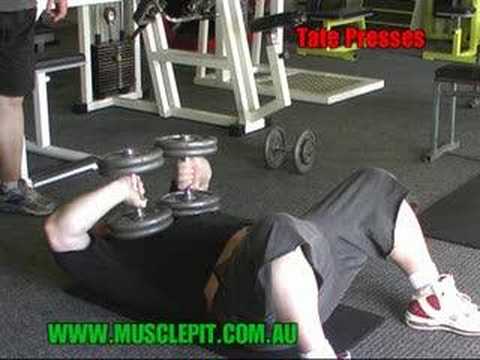 Muscle Pit - Exercise - Tate Press