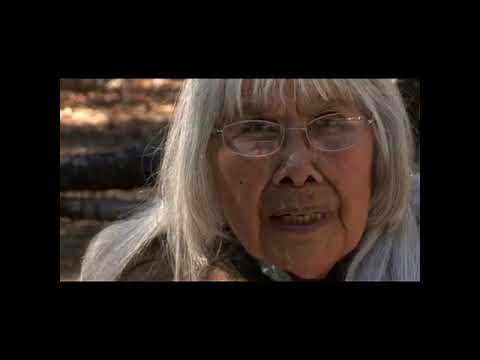 Yosemite Nature Notes 17: Black Oaks