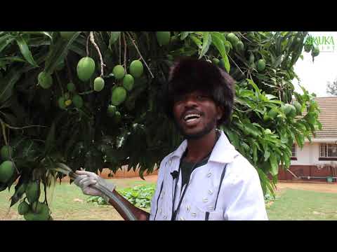 Simuka Comedy Virtual Festival: Dr Mangemba Opening Remarks