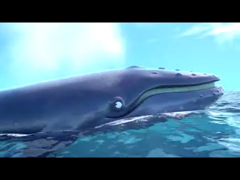 The Tale Of The Humpback Whale 💦🐋 | Gruffalo: The Snail & The Whale