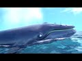 The Tale Of The Humpback Whale Gruffalo The Snail The Whale
