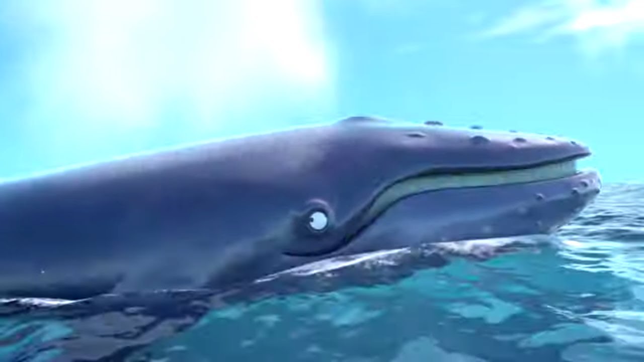 The Tale Of The Humpback Whale 💦🐋 | Gruffalo: The Snail & The Whale