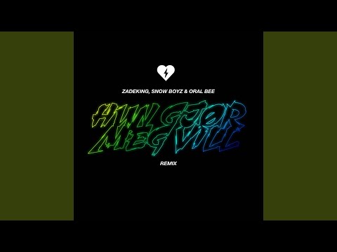 Hun gjør meg vill (Remix)