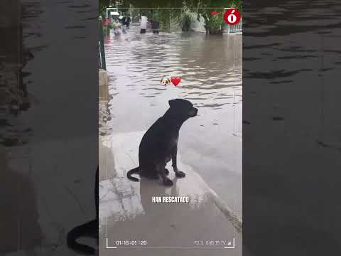 Córdoba bajo el agua: 24 de los 30 municipios afectados por las lluvias
