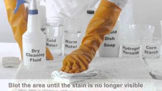 How to Clean Vomit from Carpet